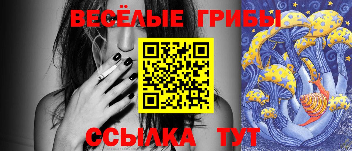 Псилоцибиновые грибы GOLDEN TEACHER  Вход с VPN  Галлюциногенные грибы Psilocybine cubensis  Ахтубинск 