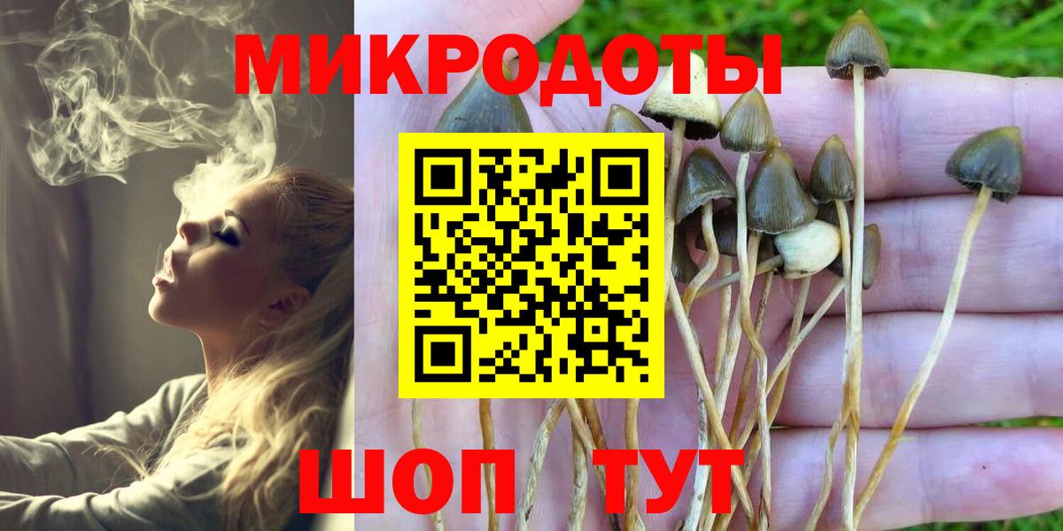 Галлюциногенные грибы прущие грибы Ахтубинск